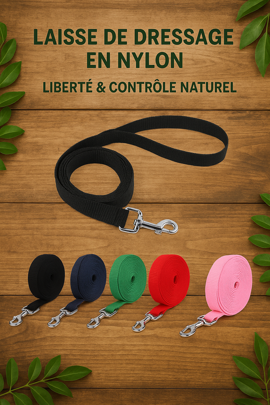 Laisse en Nylon Résistante – Confort et Sécurité pour Vos Promenades
